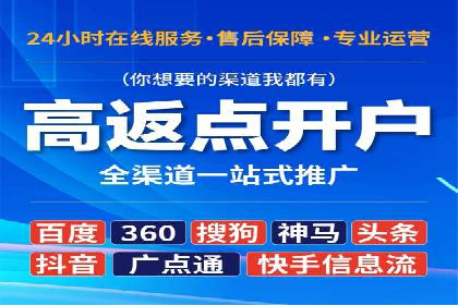 行业领先的SEM竞价广告投放案例